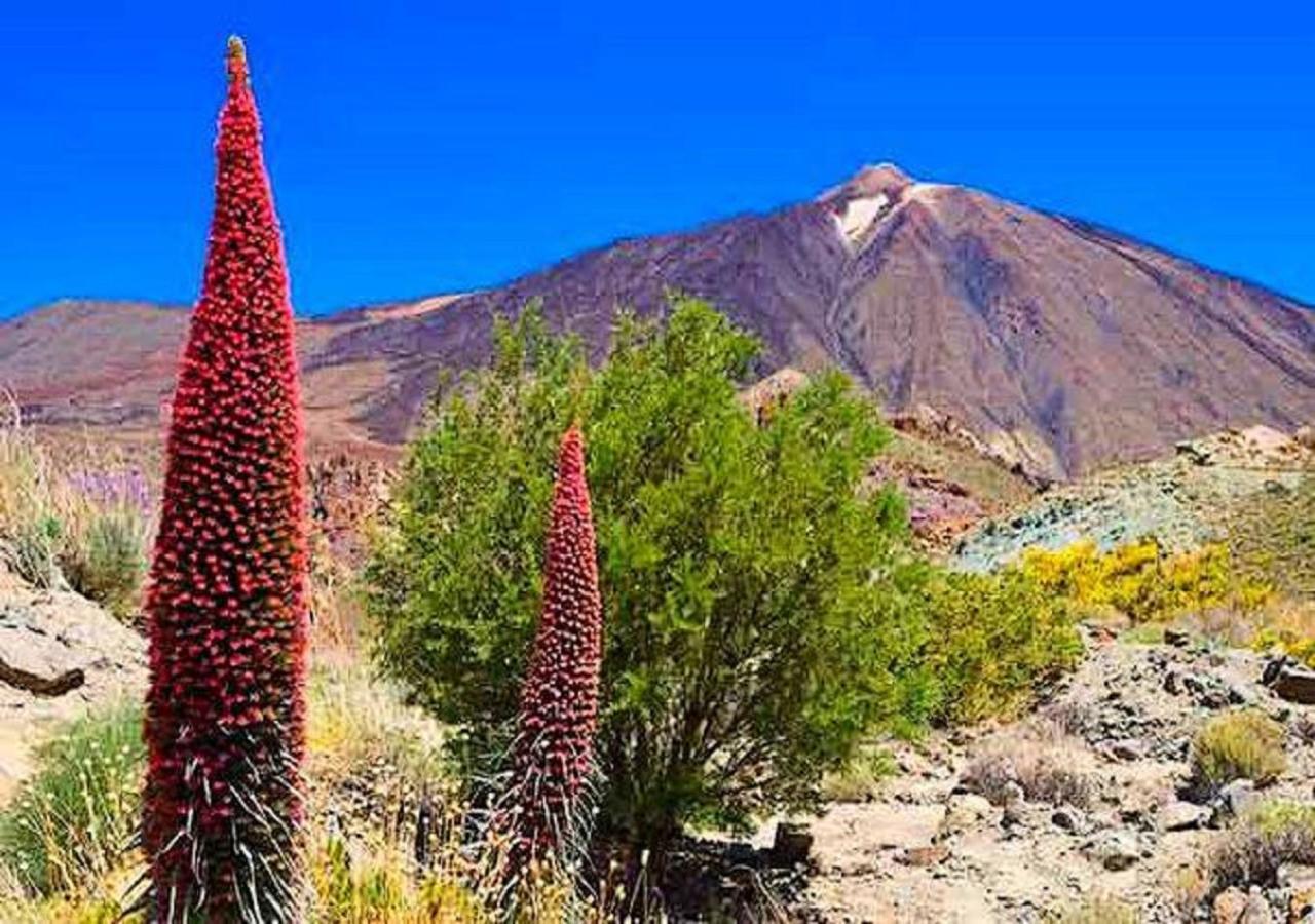 Olle Golf Tenerife Sur San Miguel de Abona Exterior photo